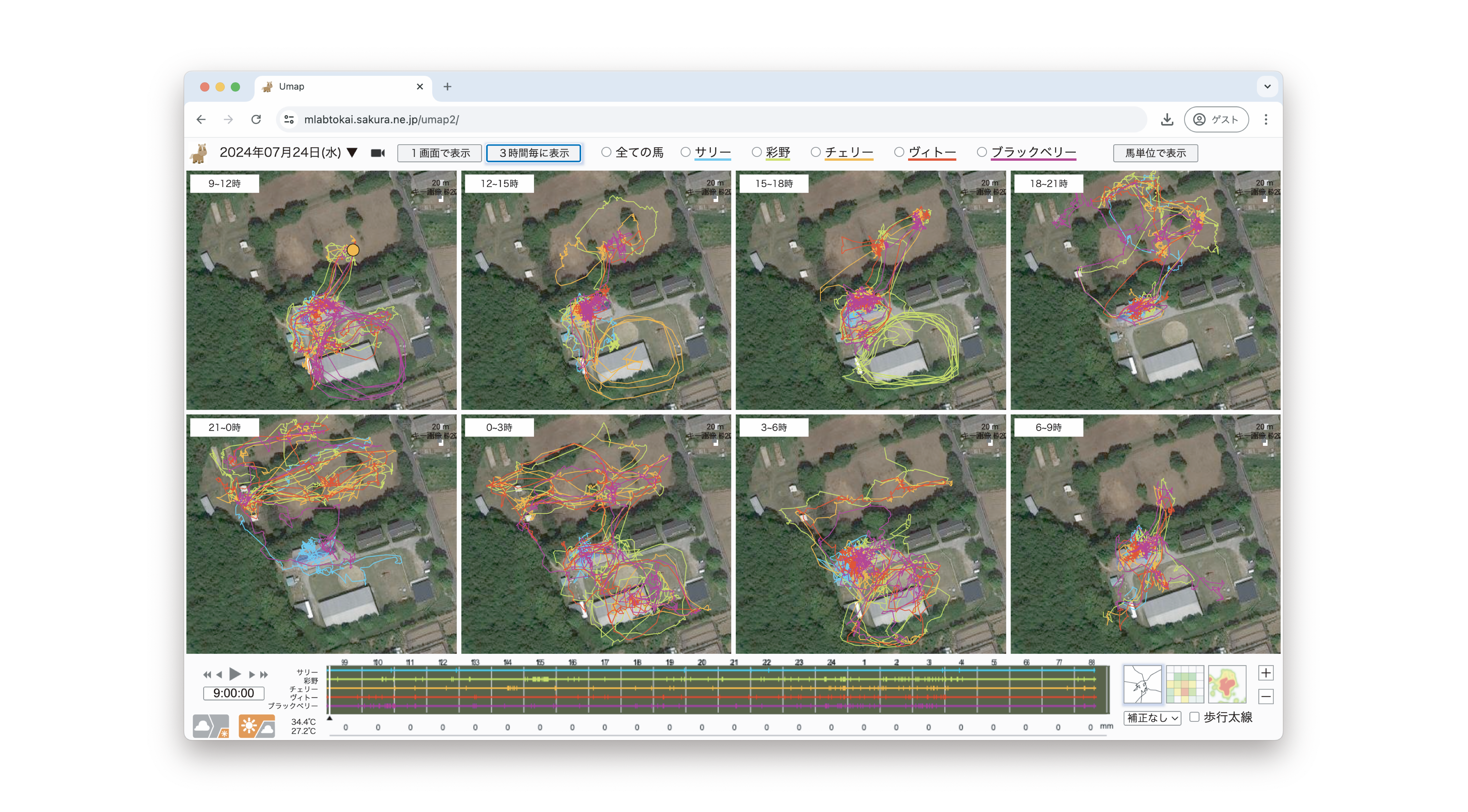 昼夜放牧馬の行動の可視化